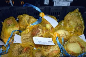 Bulbs need to be packaged very carefully to ensure they are kept in the best conditions during transport. Van Engelen uses netted sacs, paper bags and plastic pouches depending on the bulbs' humidity needs.