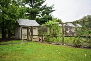 The tour continued on to the chicken coops - another popular stop for these animal lovers.
