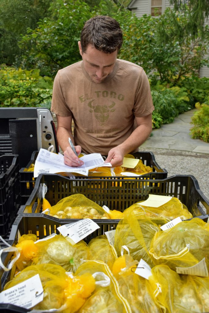 Spring Blooming Bulbs from Colorblends The Martha Stewart Blog