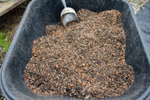Use a water-retentive potting mix. A medium-grade fir bark with peat moss and perlite is a common orchid mixture. With all the orchids to repot, Ryan prepared a wheelbarrow filled with potting medium.