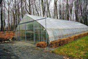 This is my large hoop house where I keep many of my tropical plants during the cold season. The plants that are displayed at Skylands, my home in Maine, and at Lily Pond in East Hampton, are also brought back to Bedford every fall for proper storage and care.