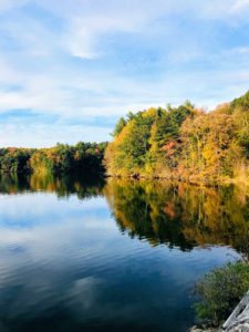 And here are the autumn colors surrounding the beautiful Cross River Reservoir near my farm. My special projects producer, Judy Morris, took a few photos.