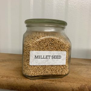 Millet is another popular grain used for substrate.