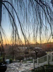 Although it was very cold, it was a beautiful afternoon. Here is a view looking through the bare branches of the weeping katsura tree outside my Winter House.
