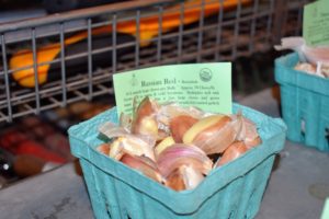 Among the many varieties we are planting is Russian Red - a great mild flavored garlic with large fat cloves, which works well as an all-purpose garlic especially in raw dishes, but is also wonderful sautéed and roasted.