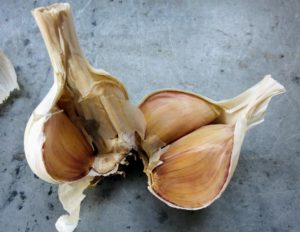 Ryan starts by cracking each bulb and separating all the cloves. Do this carefully, so as not to damage any of them. After all of the garlic heads are separated, group the cloves with other similar varieties. For the best results, plant the largest cloves from each bulb and save the smaller ones for eating.