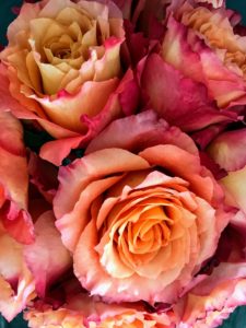 The way the subscription line works is easy - each month, a bouquet of roses, selected by myself, and sourced from sustainable farms, will arrive fresh to your door within five-days from order.