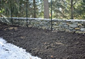 Compost is added to the long daffodil border - I can't wait to see this bed come spring when it is covered in white and various shades of yellow and orange.