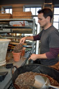To successfully grow rhizomatous begonias, only repot one size up when the roots have filled their current vessel. Ryan always places a few pots on the table, so he can see which size is best for the plant being repotted. Here, Ryan begins to fill the pot with the appropriate medium.