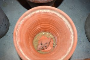I like to use clay pots for my begonias. They allow proper aeration and moisture to penetrate through the sides and to the plant. Always place a clay shard over the hole in the bottom of the pot to help drainage.