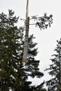 Here is another section of tree on its way down. The crane keeps these logs a good distance from any structures or people - especially on this windy day.