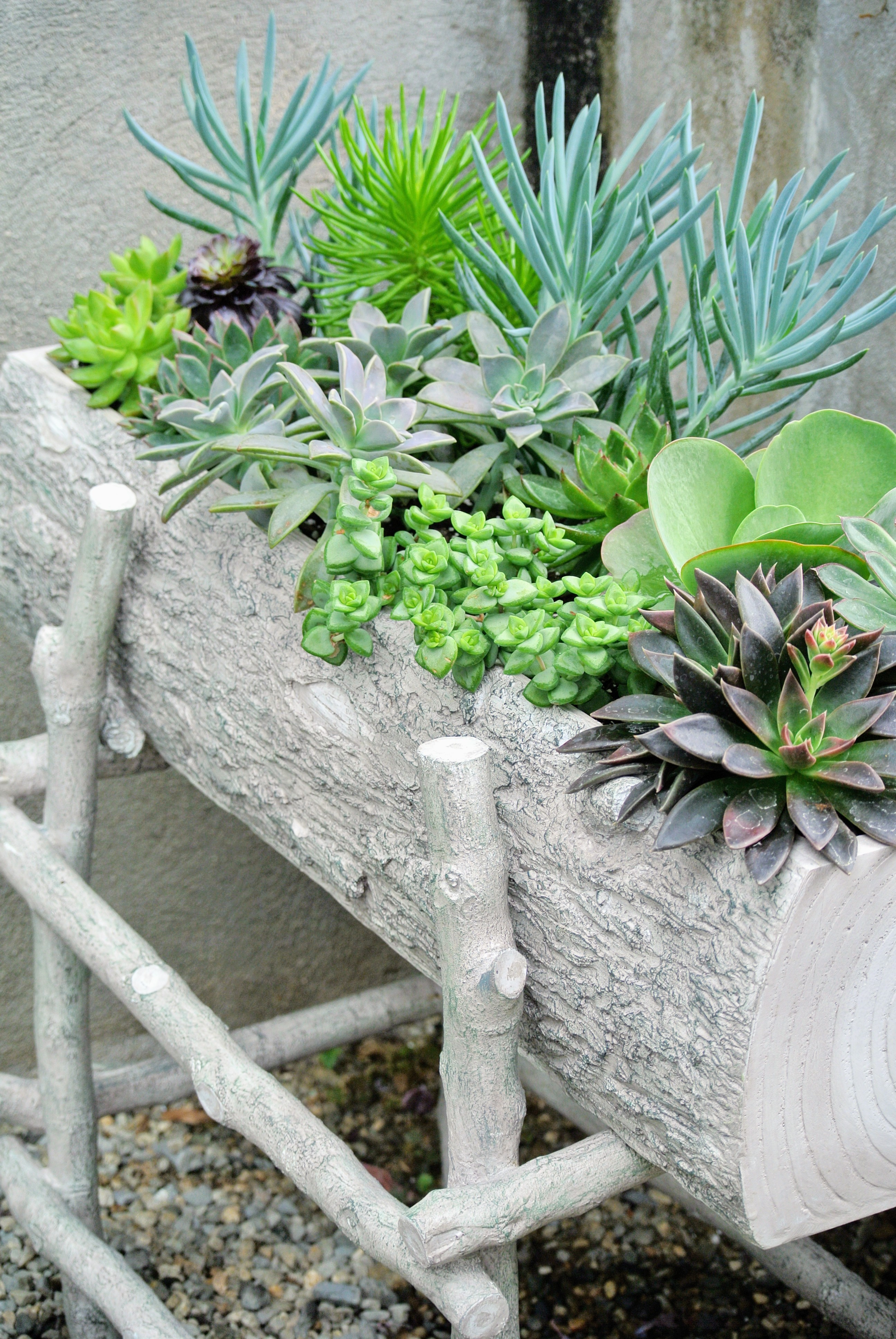 Mixed Planter Filler w/Grasses, Succulents, Vines – New Growth Designs