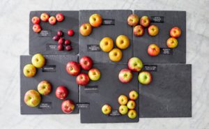 Don't you love the smell of baking apples? It's a very popular ingredient in baking. In this show, I invite orchardist, Zeke Goodband, to demystify the world of heirloom apples and to share some of his favorite varieties. (Photo by Mike Krautter) https://scottfarmvermont.com/