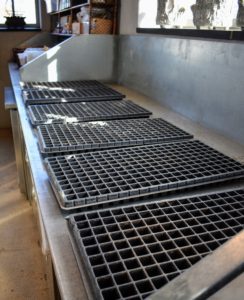 Seed starting trays come in all different sizes and depths. We use trays with shallow compartments for planting onion seeds. These trays are from Johnny's. https://www.johnnyseeds.com/