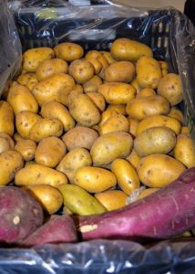 The Lancaster Farm Fresh Co-op in Pennsylvania provides fresh potatoes, which are picked up or delivered to Mike's Organic once a week. https://lancasterfarmfresh.com/