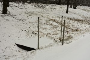 Whenever it snows, I am always grateful for the stakes we put up delineating the carriage roads. We painted the tips of those stakes that mark the catch basins.