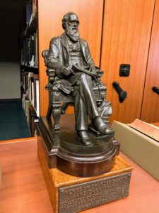I loved this statue of Charles Darwin, H. Montford, 1897.