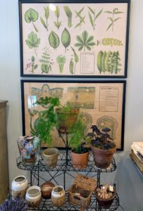 I also looked at the antique plant stands and framed botanicals. The charming shop was full of things I would have bought - if I didn't already have them.