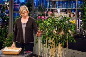 Does spaghetti grown and harvested from a Spaghetti Tree still count as a carbohydrate? Watch this humorous segment and see.