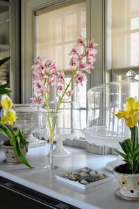 I also love to display cut orchids - these were gifted to me by a friend. They look so pretty in my servery. What orchids do you keep at home? Share your comments in the section below.