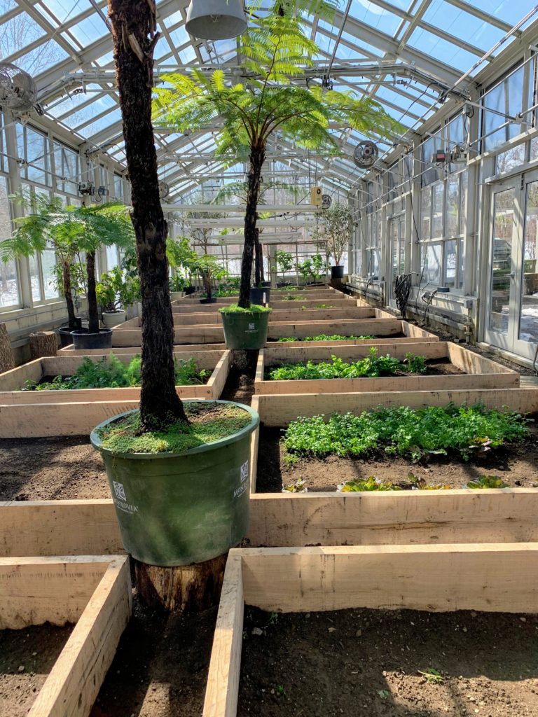 Building Planter Boxes for My Vegetable Greenhouse The Martha Stewart Blog