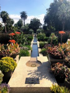 The Celebration Garden is the transition between the Mediterranean landscape of the center and the estate’s historic Gilded Age core. It is often used for receptions and other gatherings and features seasonal blooms and a stone-lined pool.
