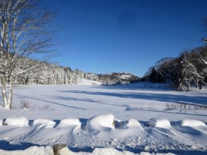 And just on the other side of the carriage road is Little Long Pond - covered under a blanket of white. More Rockefeller's Teeth line the carriage road in between the two.