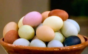 Can you believe each of these beautiful eggs was dyed using common ingredients? Coffee, cabbage, turmeric, and beets can transform white-shelled eggs into many different colors and shades.