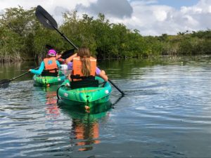 Another destination is Costa Maya, a stretch of Caribbean coast on Mexico’s eastern Yucatán Peninsula, where you can see native fish, monkeys, and birds while kayaking through its rivers and streams.