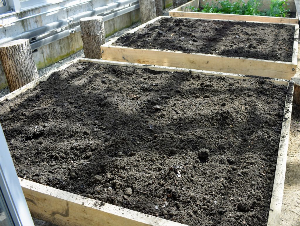 Raised Bed Gardening in My Vegetable Greenhouse - The Martha Stewart Blog