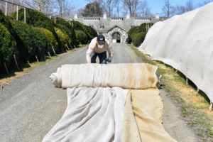 Here's Phurba rolling a long section of burlap – a much faster process than putting the burlap up, but still quite time-consuming.