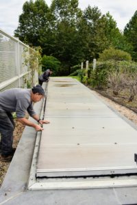 The cold frame has a transparent top that allows sunlight during the day and keeps the heat from escaping at night. Here are Carlos and Carlos closing the cold frame last fall with all the hostas protected inside. I am fortunate to have such a large cold frame here at the farm – this can hold a few hundred potted plantings.