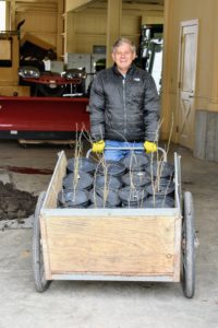 Here's Fernando with the first load of newly potted Osage orange trees. They're being transported by wheelbarrow to their new location outside my Hay Barn.