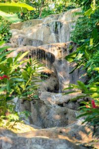 In Jamaica, you'll visit Konoko Falls - one of Jamaica’s best-kept secrets and home to a zoo, an indigenous cultural museum and one of Jamaica’s largest collections of flowering plants.