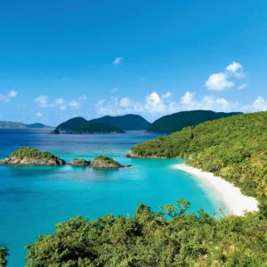 St. John is the smallest of the three U.S. Virgin Islands, which are located in the Caribbean Sea. Its forests shelter resident and migratory birds, including cuckoos, warblers, and hummingbirds, while mangroves support corals and anemones.