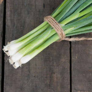 'White Spear' leeks are heat-resistant and large with tall, upright, blue-green leaves. Their thick, cylindrical, white shanks have strong leaves that resist breaking. (Photo from Johnny's Selected Seeds)