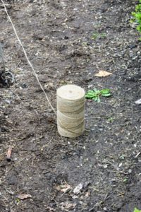 We use a natural jute twine for this project and for many gardening projects around the farm. Twine like this is available in large spools online and in some specialty garden supply shops.