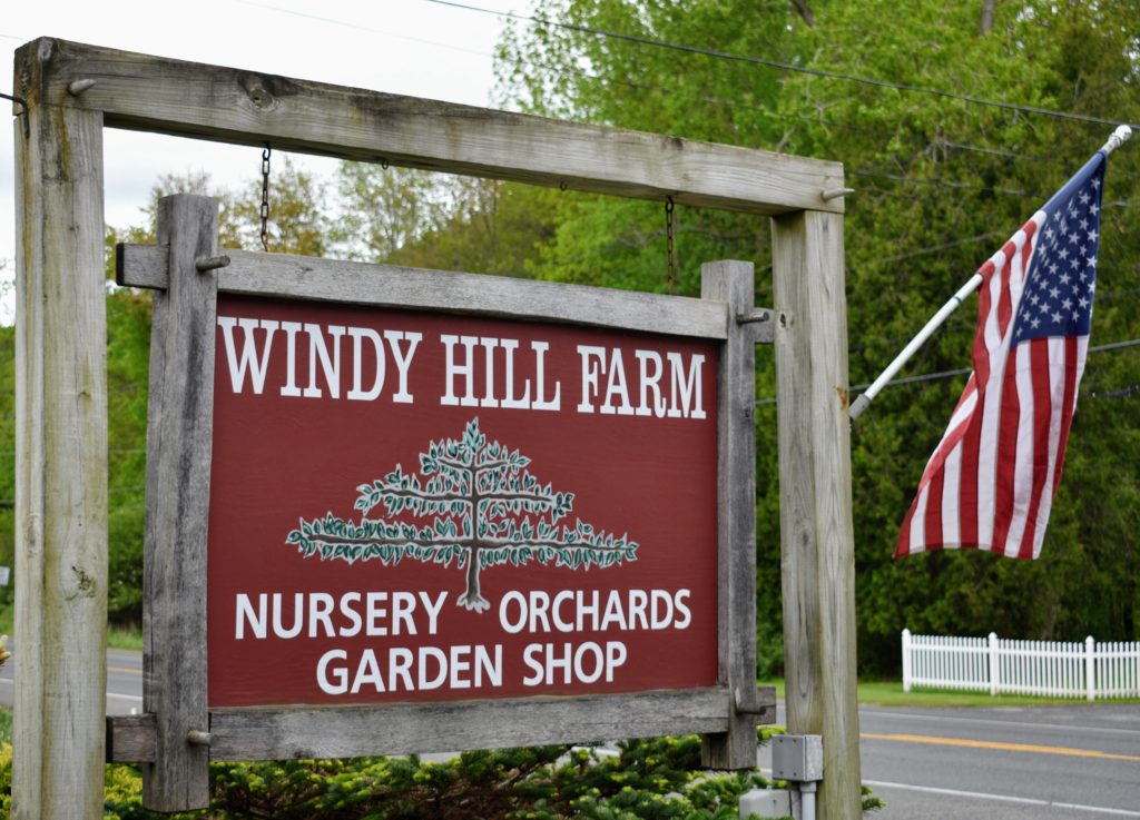 Fruit Trees from Windy Hill Farm The Martha Stewart Blog