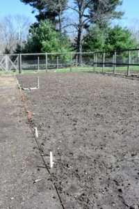 I am very fortunate to have the room to plant so many different and delicious vegetable varieties. The other side of the garden was designated for long rows. Each of the markers is where each row begins.