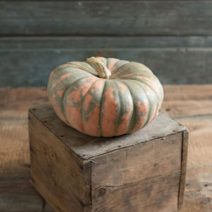 'Speckled Hound' is orange with green splotches. It has yellow-orange, thick, dense flesh with dry matter and an oblate shape with shallow ribbing. I love these more unique pumpkins. (Photo from Johnny’s Selected Seeds)