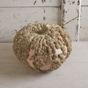 'Galeux d’Eysines' is a unique heirloom with a flattened-globe shape and salmon-pink skin. 'Galeux d’Eysines' is an ornamental pumpkin with a lot of character but also lends good flavor to soups and stews. (Photo from Johnny’s Selected Seeds)