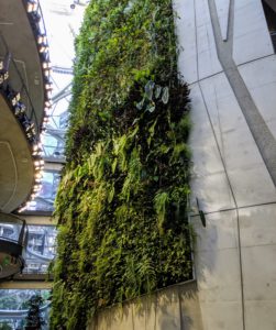 Here is another view of the Living Wall from the ground floor. It is four stories tall with 25-thousand plants, which were first grown on mesh panels and then transported and attached to the growing surface.