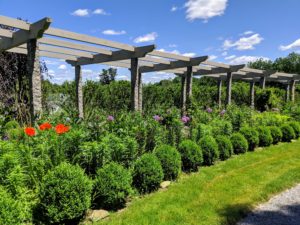 The pergola was the last stop on the walk. The purple alliums look so pretty with the green boxwood and the bright orange-red poppies. This pergola goes through several transformations throughout the year, and every one is a show stopper. It was a lovely day for a tour.