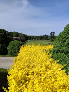 Here on the Terrace Parterre, everyone loved the boxwood and barberry. The colors add a dramatic touch to the terrace. And you can see the stable and paddocks in the distance.