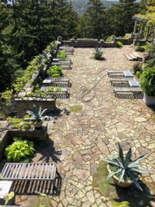 Here is the terrace after a hard day's work. It is looking excellent - I can't wait to see it all filled out - bold and lush. In my next blog, I'll share photos from all the great foods we ate and places we visited during this trip to Maine.