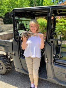 Everyone arrived safe and sound. Here I am holding one of Barred Rock pullets, which is a female under a year old. My trusted Polaris Ranger Crew 1000 is ready to take everyone to the chicken coops.