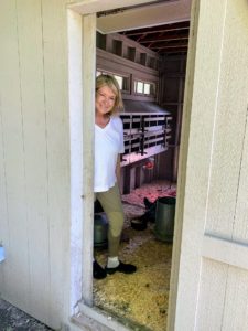 Whenever I can, I love to go down to the coops and visit with my gorgeous flock. I am grateful for all the delicious eggs they produce and for their fun-loving personalities. What are your favorite breeds of chickens? Let me know in the comments section.