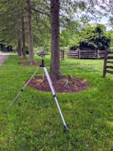 This sprinkler is set lower, with a shorter, weaker reach. Never direct hard spraying sprinklers at trees – this may mar the bark.