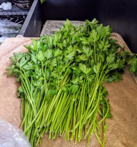 We also harvested a generous bunch of parsley. This will find its way into my morning green juice.