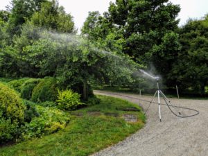Look how far the sprinkler can reach – and the spray is very consistent.